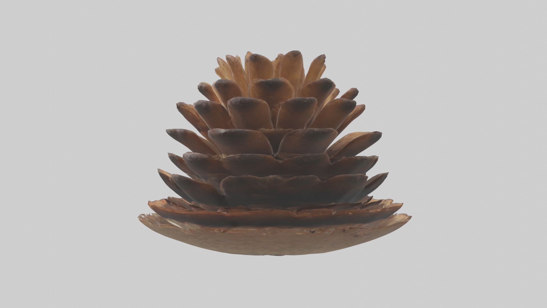 Pinecone Model Low-poly 3D model_1
