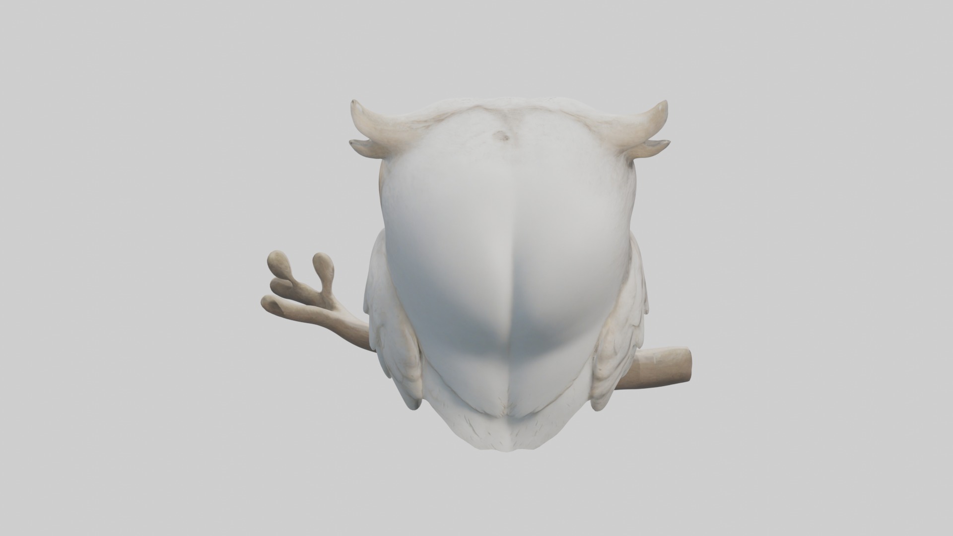 Owlet Model Low-poly 3D model_9