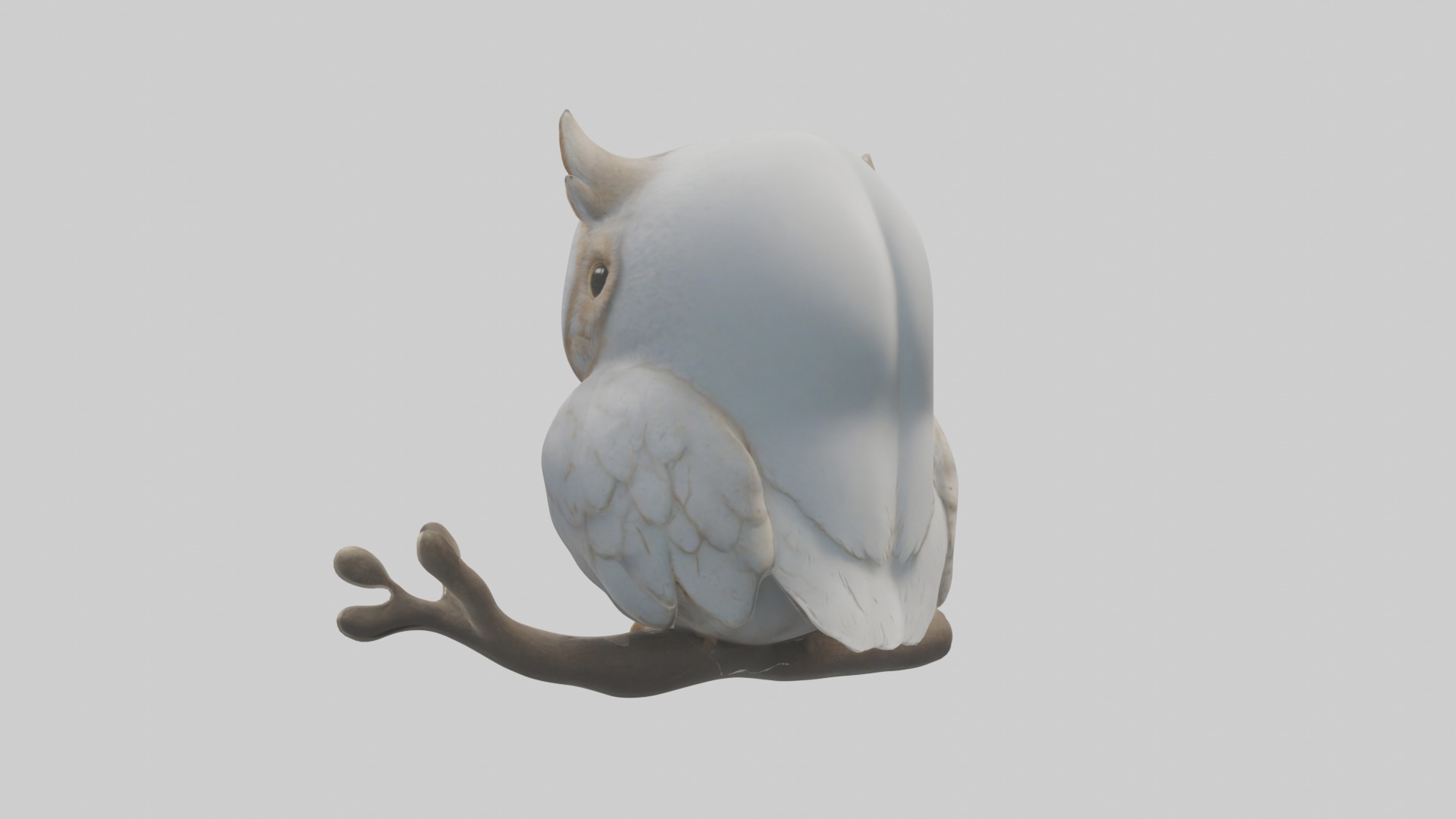 Owlet Model Low-poly 3D model_2