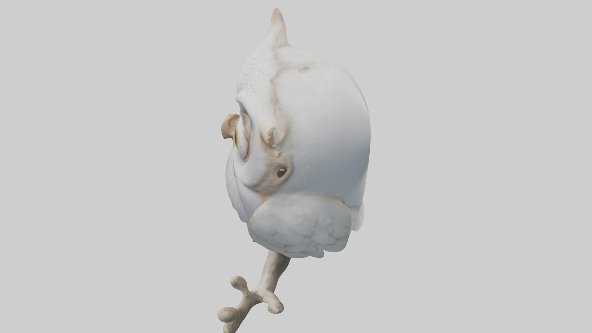 Owlet Model Low-poly 3D model_11
