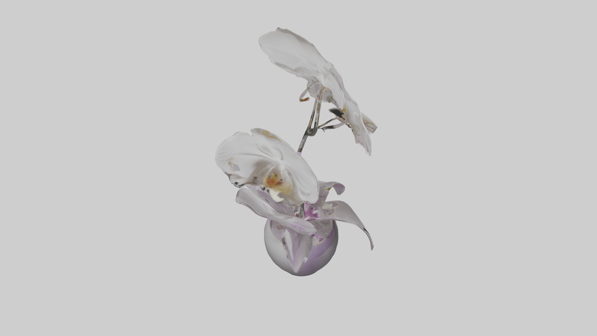 Orchid Model 1 Low-poly 3D model_12