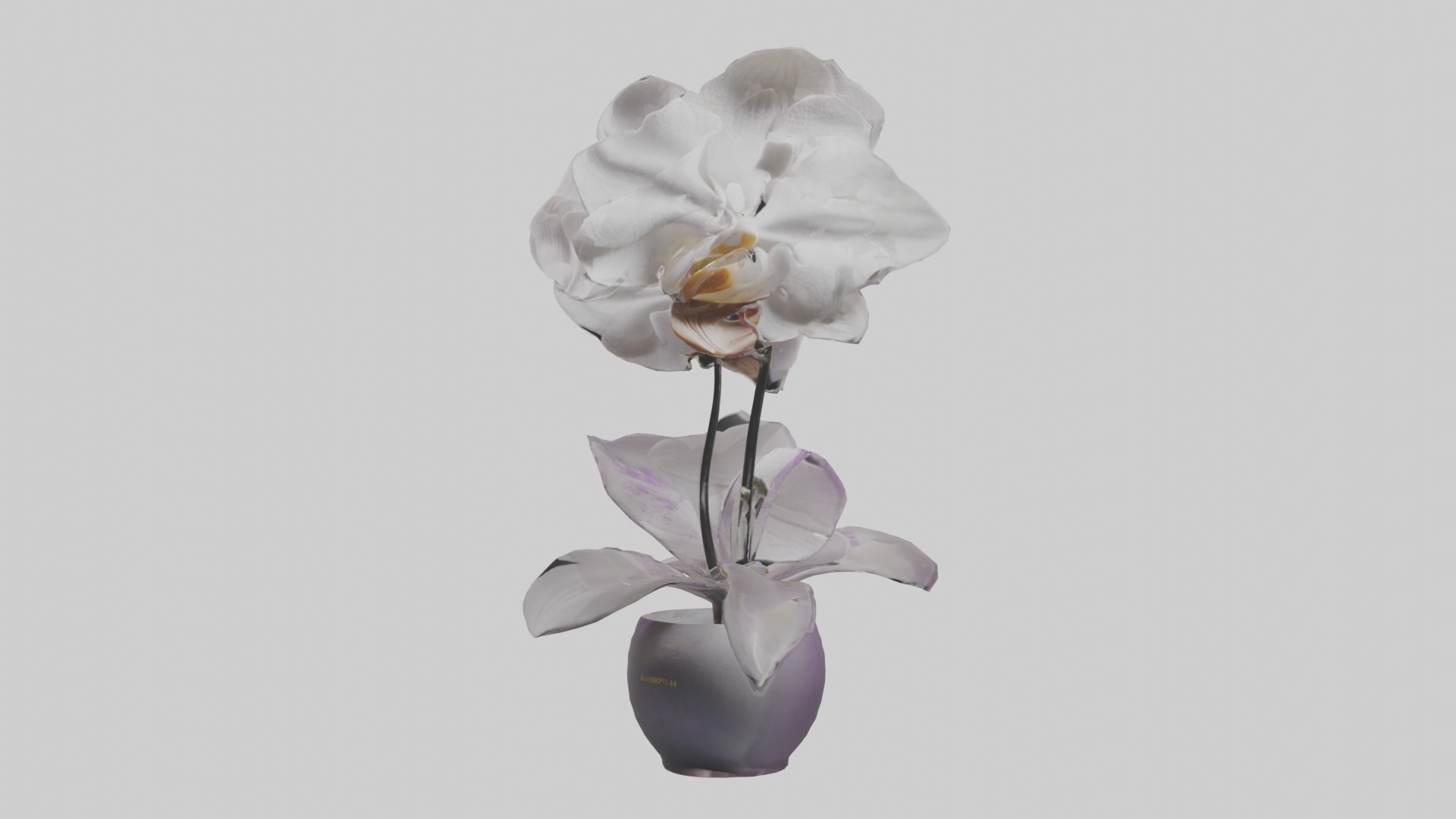 Orchid Model 1 Low-poly 3D model_4