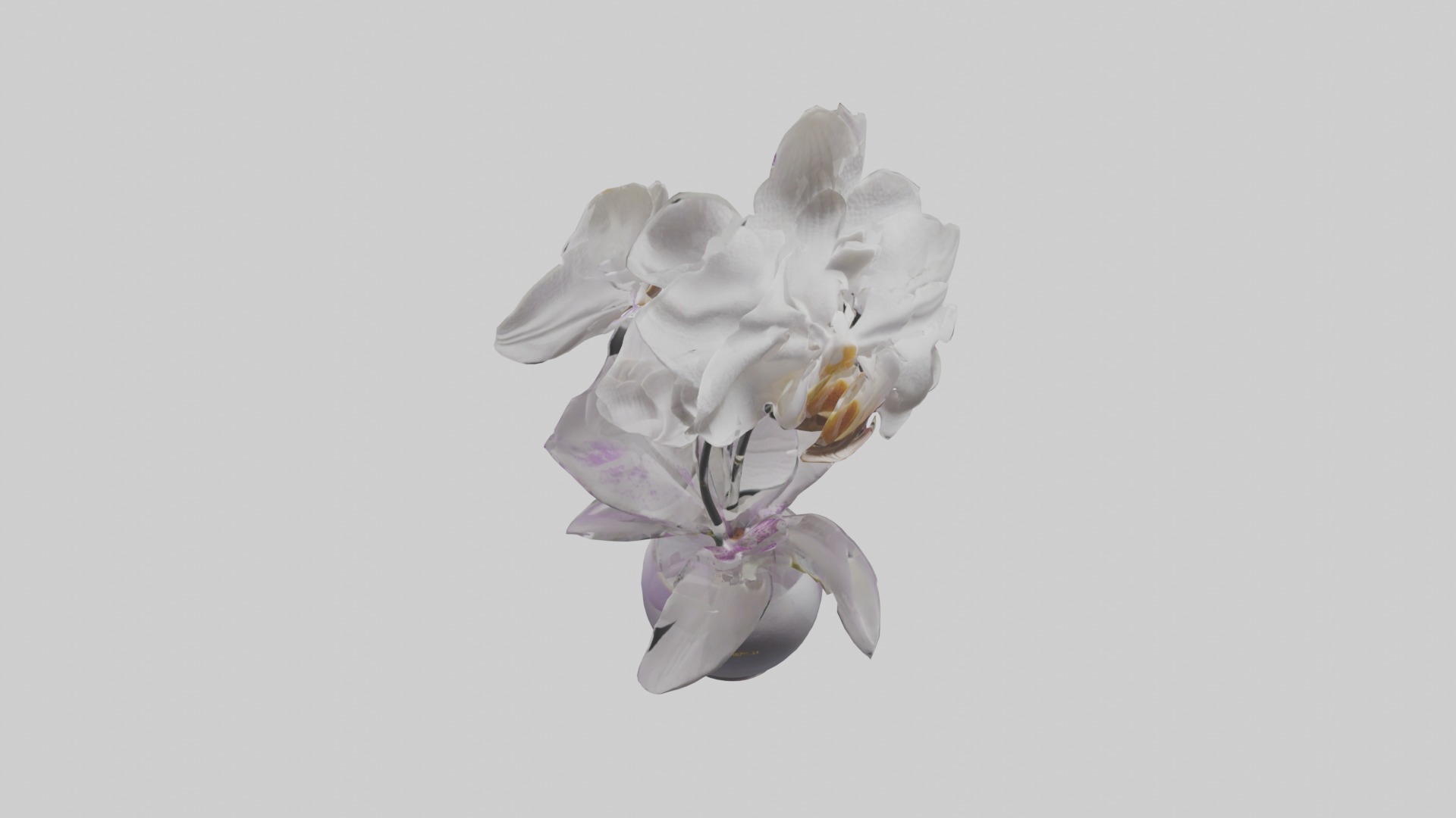 Orchid Model 1 Low-poly 3D model_10