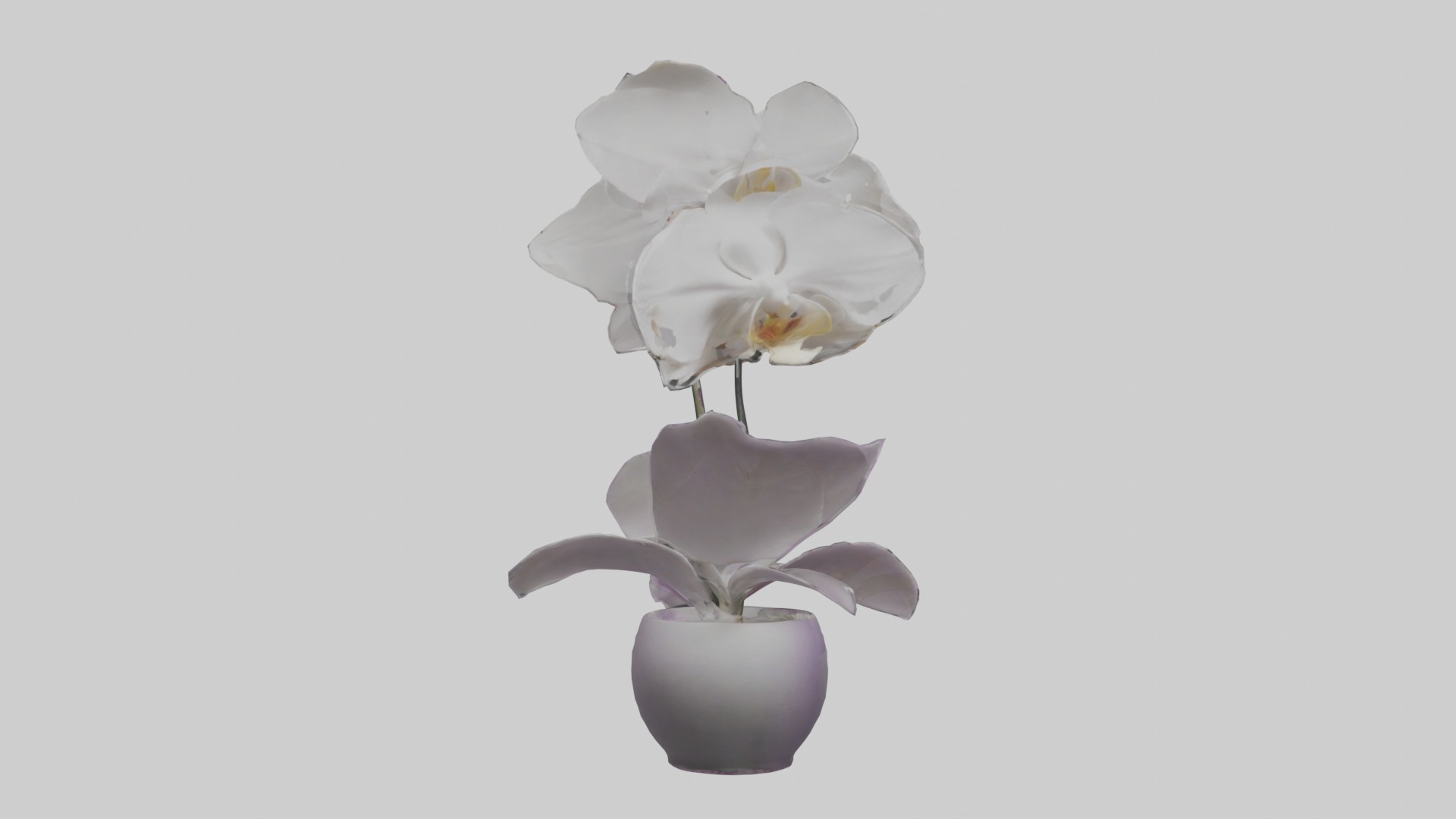 Orchid Model 1 Low-poly 3D model_2