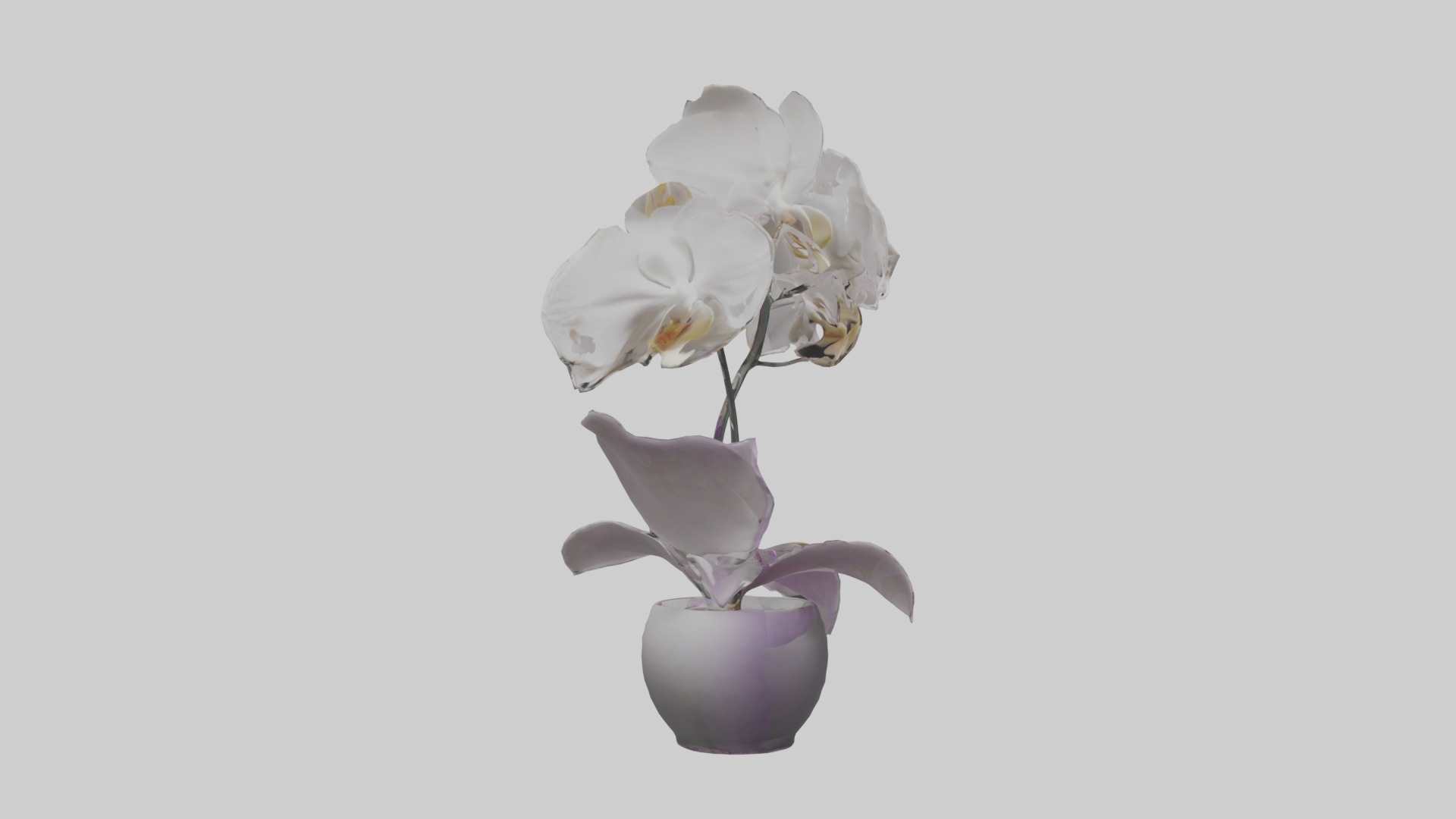 Orchid Model 1 Low-poly 3D model_7
