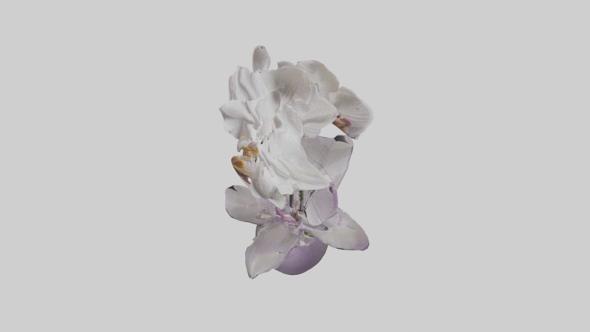 Orchid Model 1 Low-poly 3D model_11
