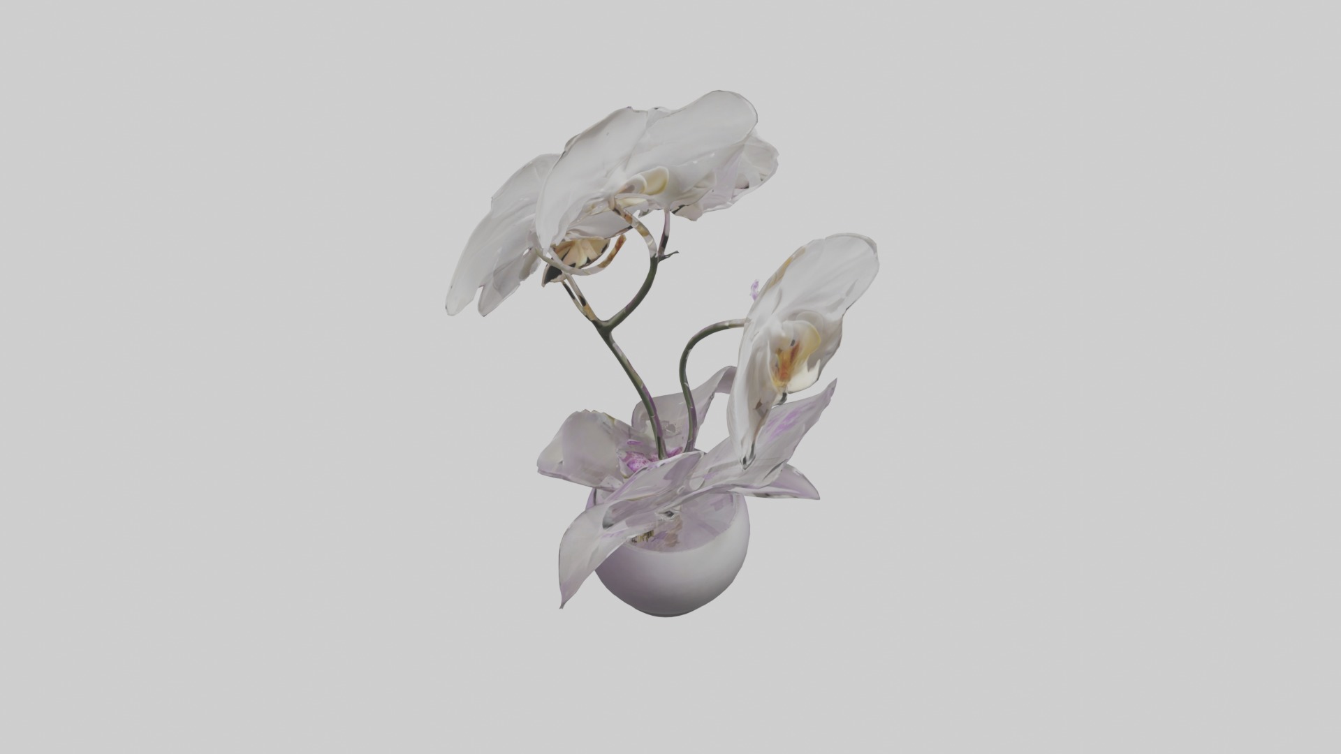 Orchid Model 1 Low-poly 3D model_9