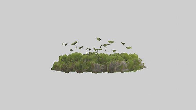 Moss Model Low-poly 3D model 6