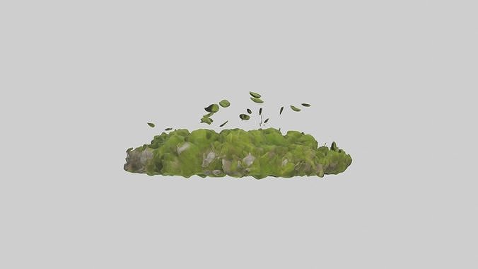 Moss Model Low-poly 3D model 5