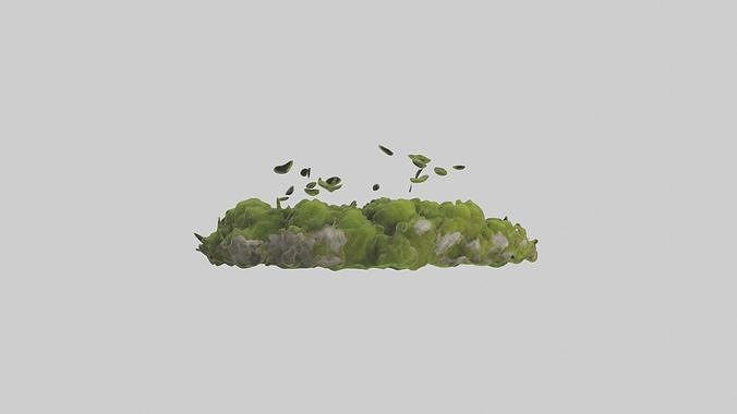 Moss Model Low-poly 3D model 4