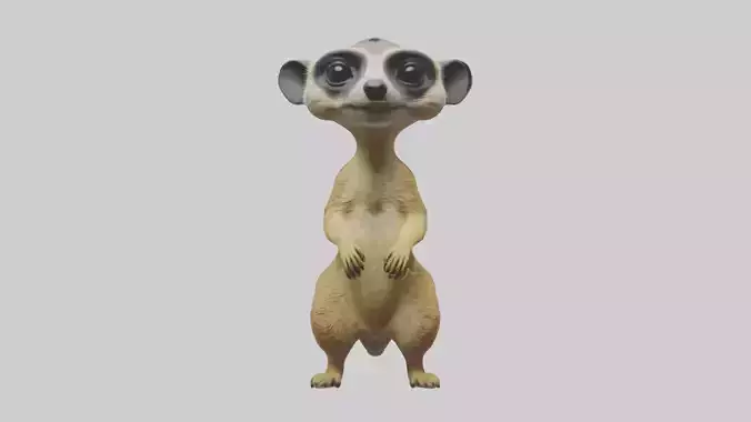 Meerkat Model 