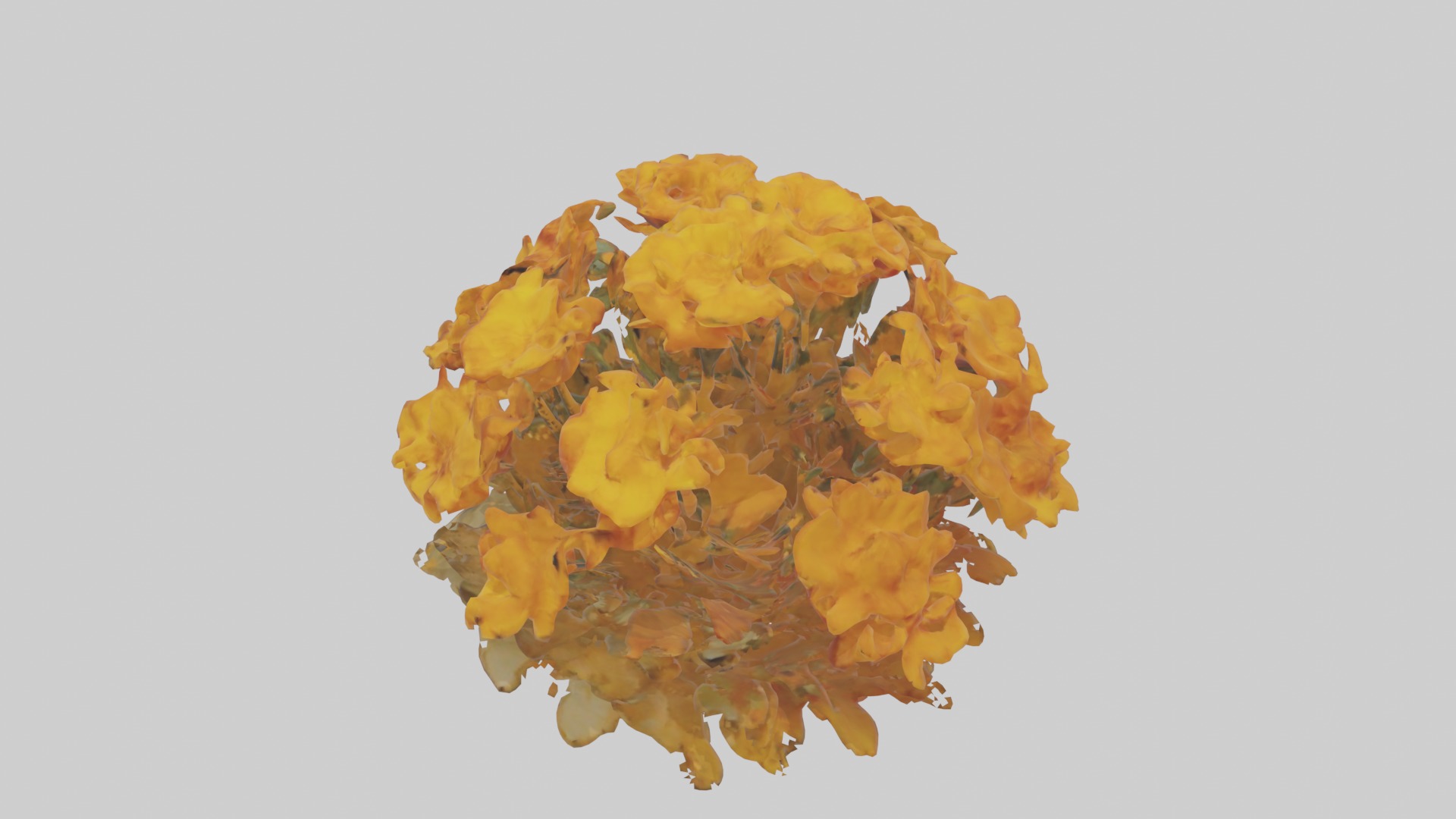 Marigold Flowers Mode 1 Low-poly 3D model_11