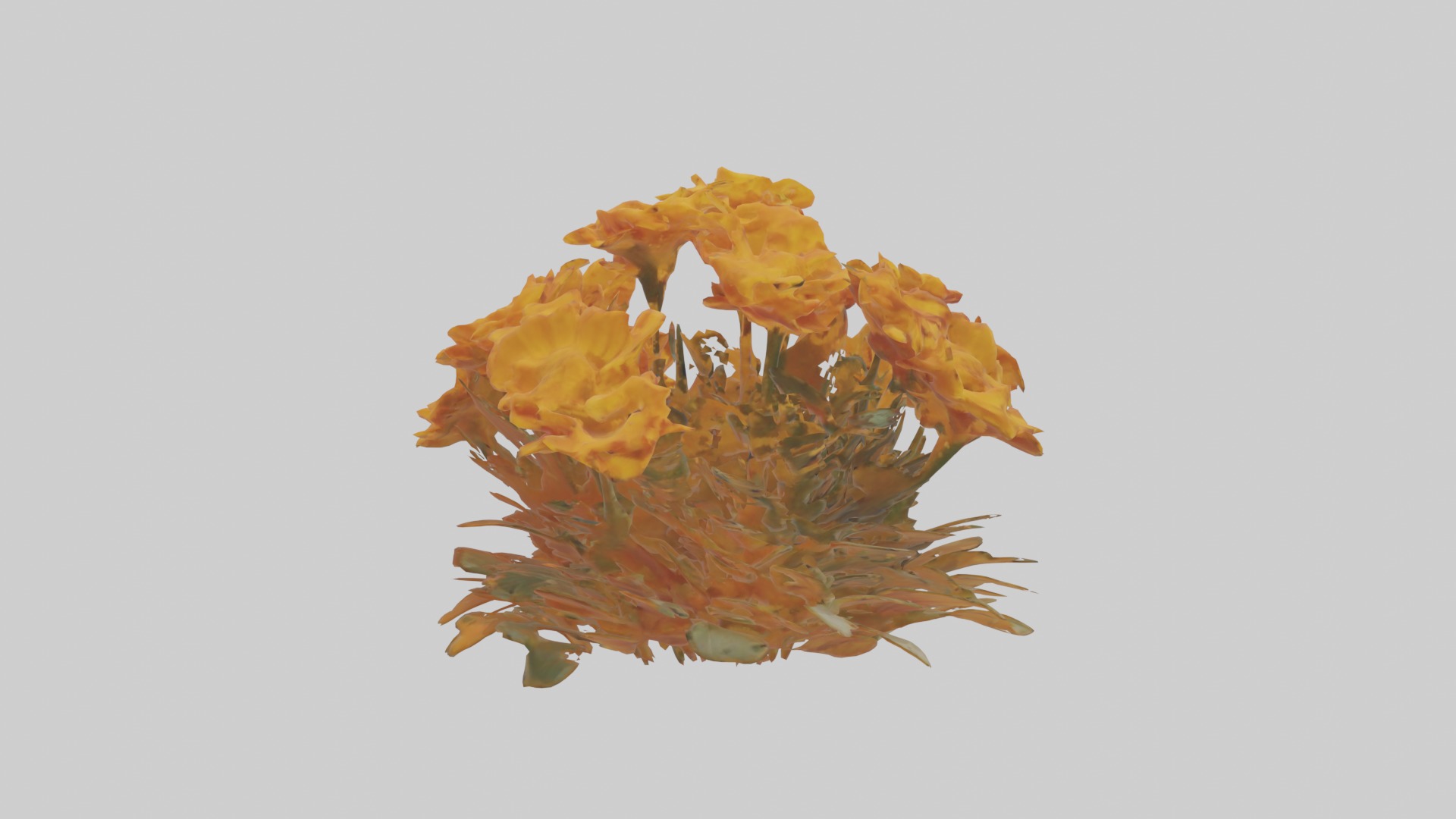 Marigold Flowers Mode 1 Low-poly 3D model_7
