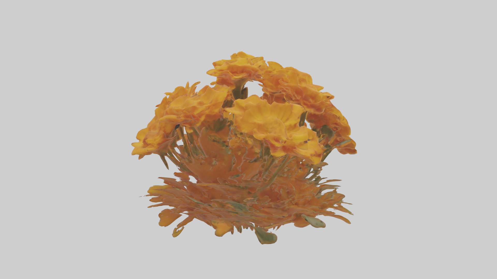 Marigold Flowers Mode 1 Low-poly 3D model_2