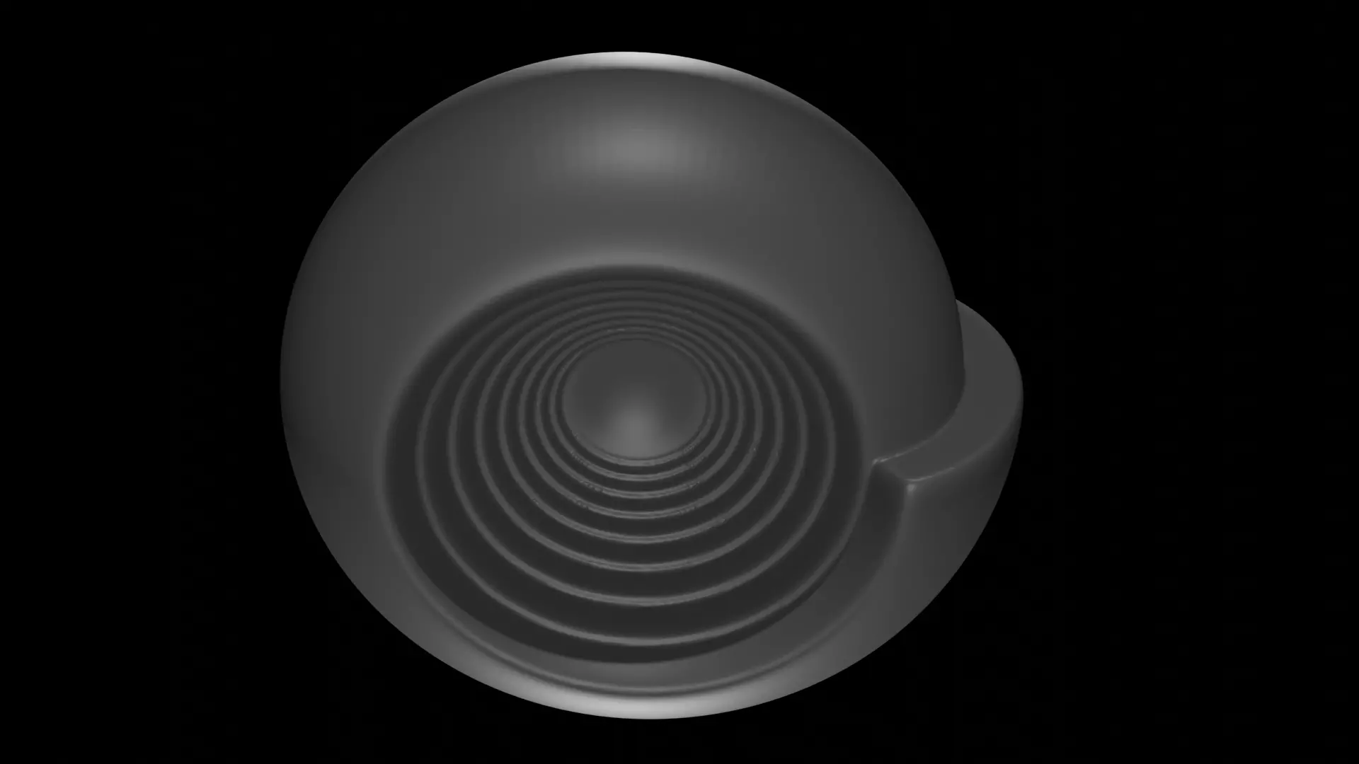 Ammonoid shell involute and depressed Somoholites 3D model