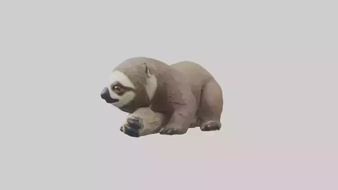 Lying Sloth Model 1 Low-poly 3D model