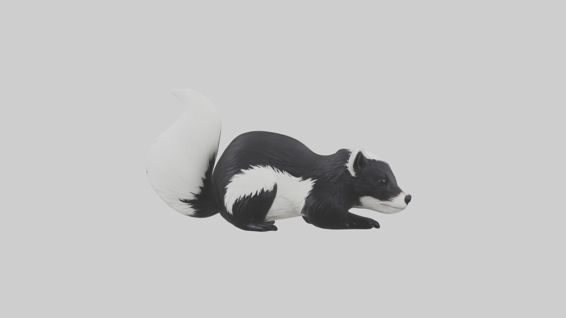 Lying Skunk Model 1 Low-poly 3D model_3