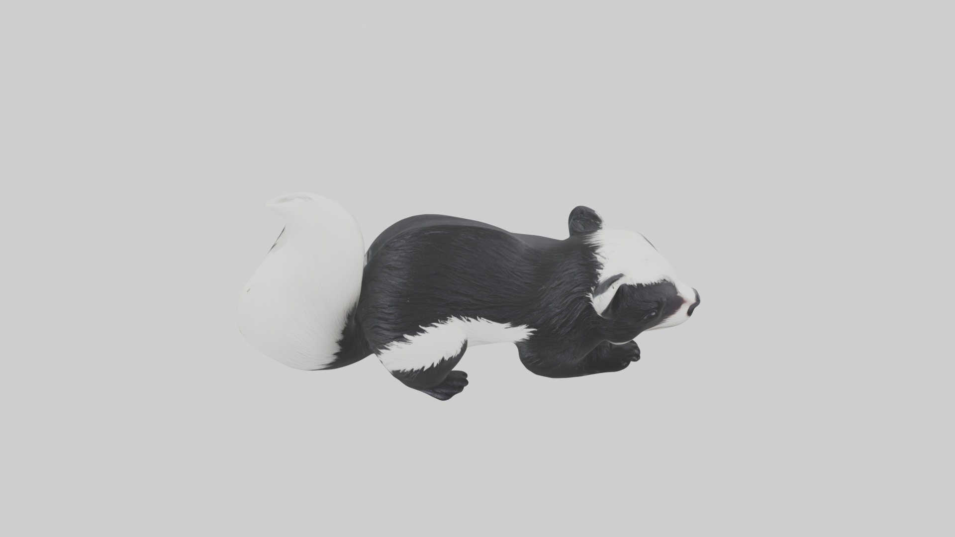 Lying Skunk Model 1 Low-poly 3D model_10