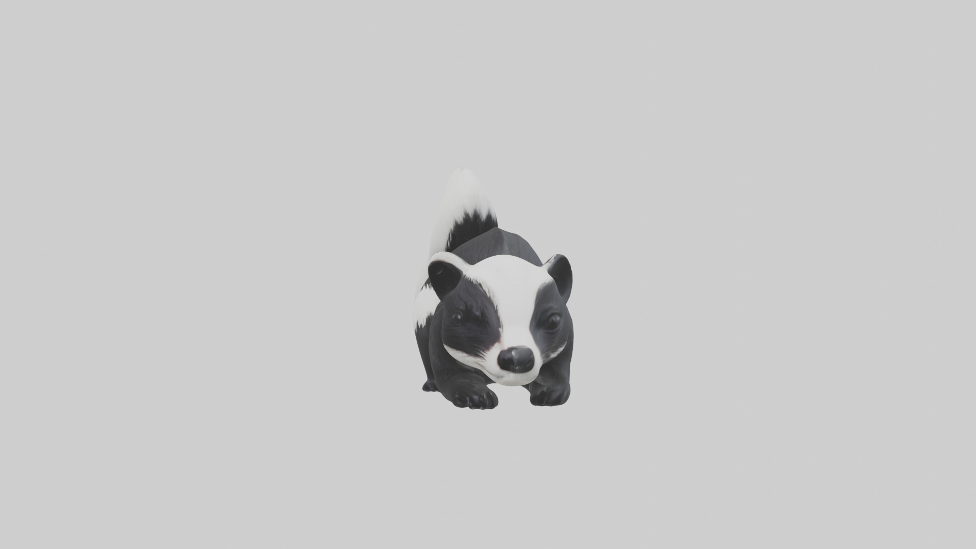 Lying Skunk Model 1 Low-poly 3D model_6