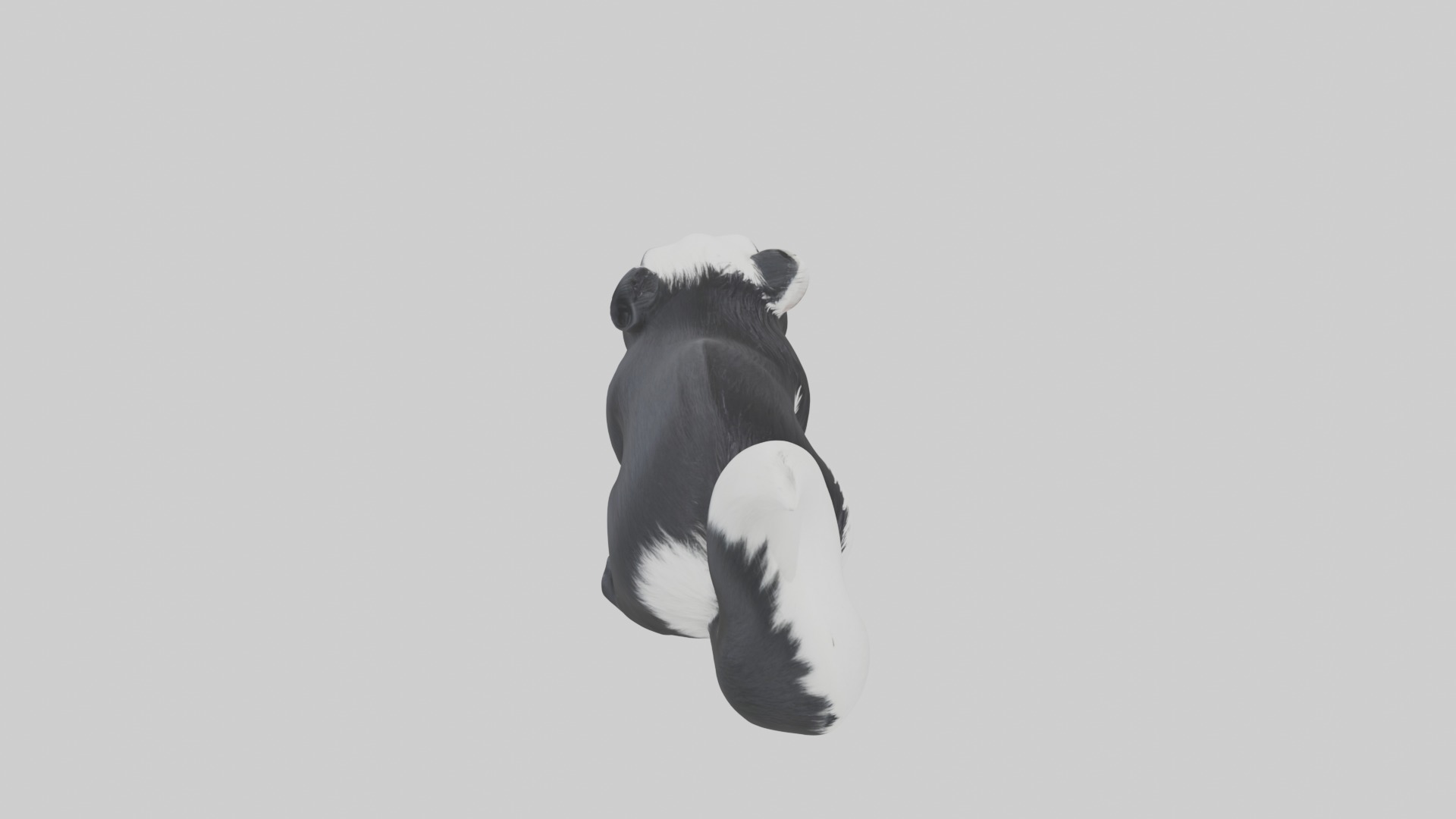 Lying Skunk Model 1 Low-poly 3D model_12