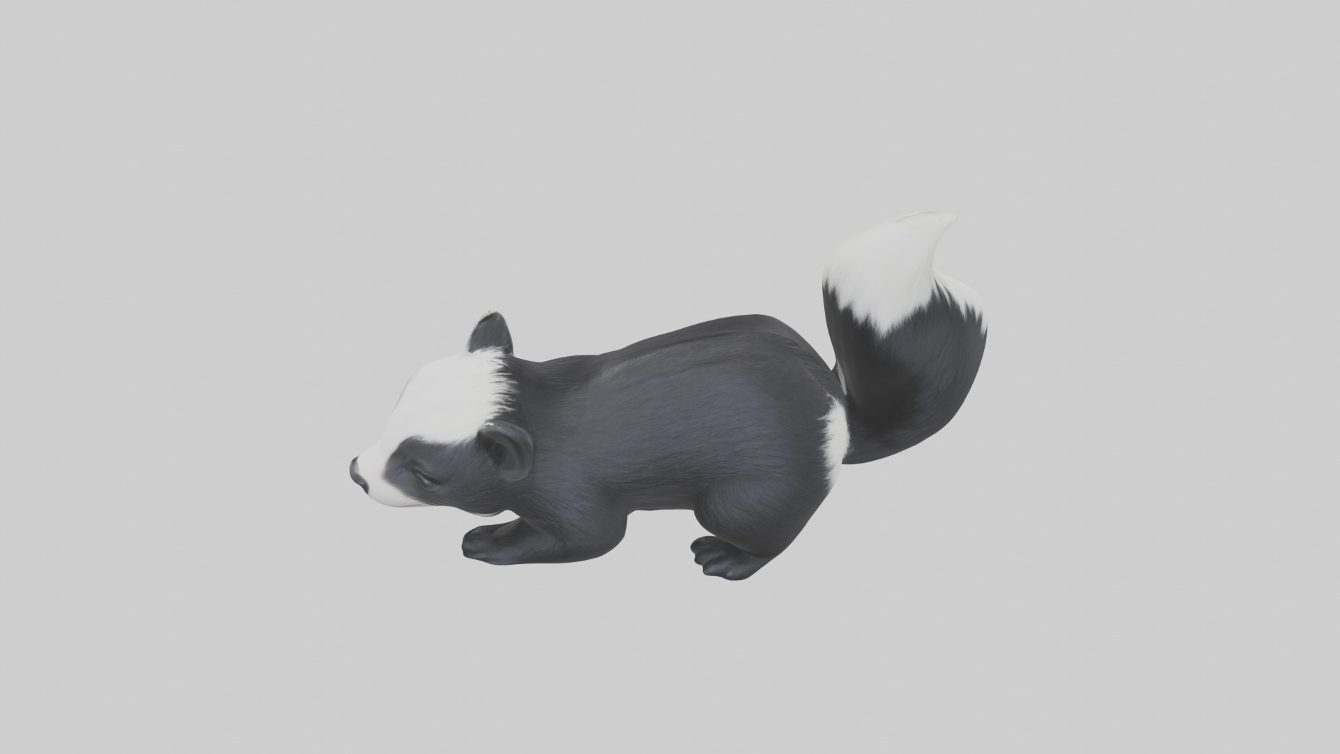 Lying Skunk Model 1 Low-poly 3D model_9