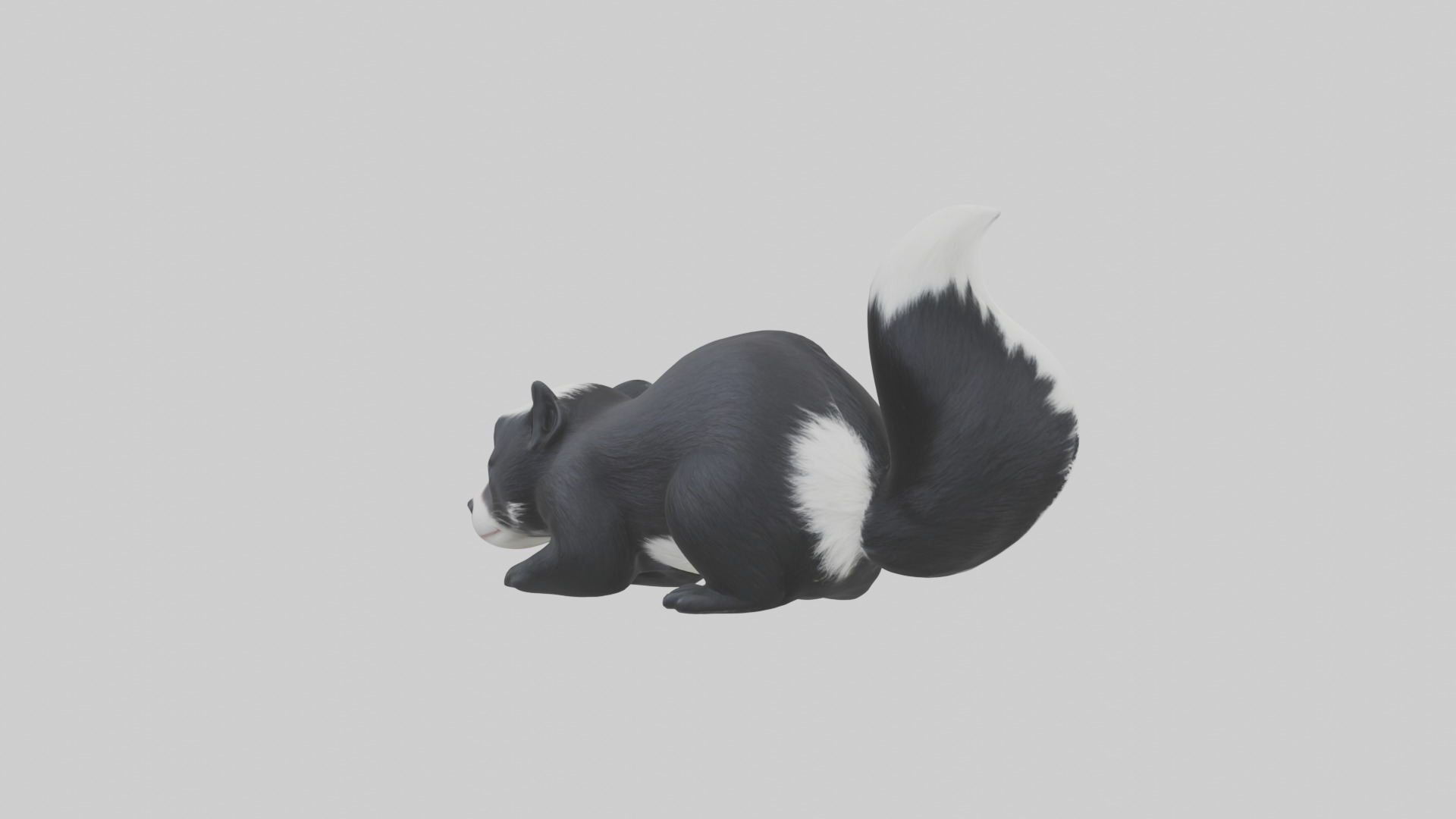 Lying Skunk Model 1 Low-poly 3D model_2