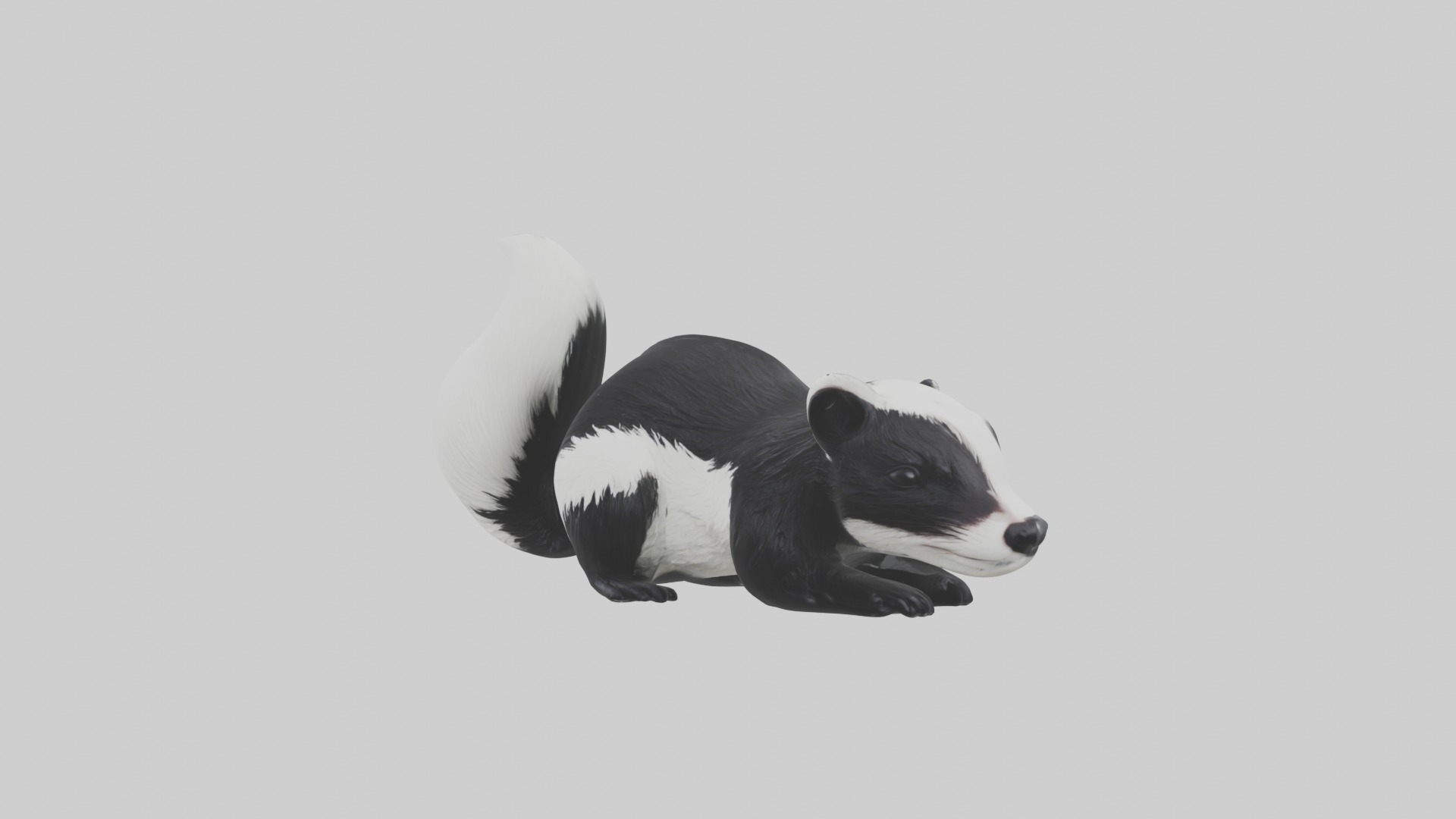 Lying Skunk Model 1 Low-poly 3D model_4