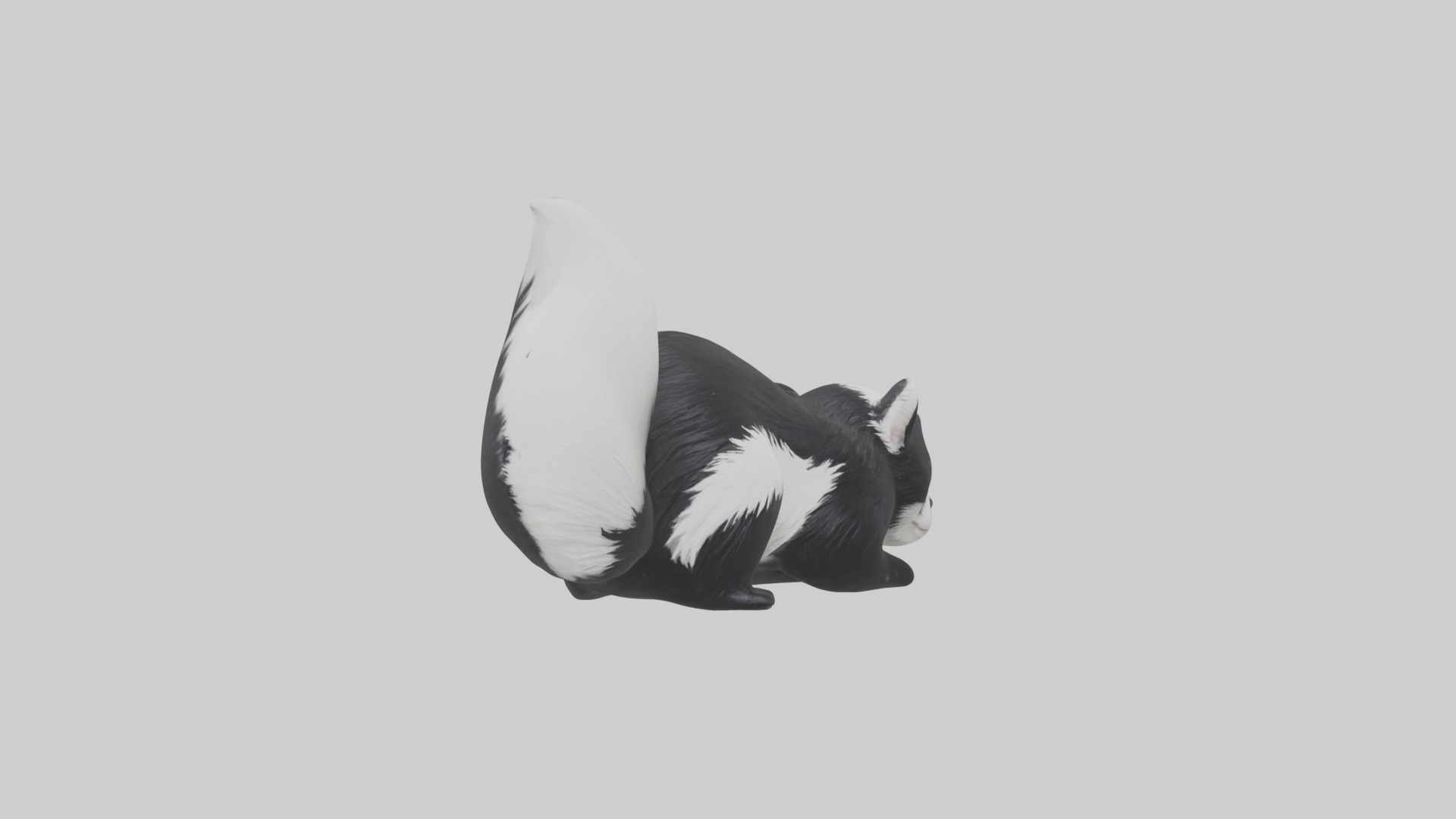 Lying Skunk Model 1 Low-poly 3D model_5