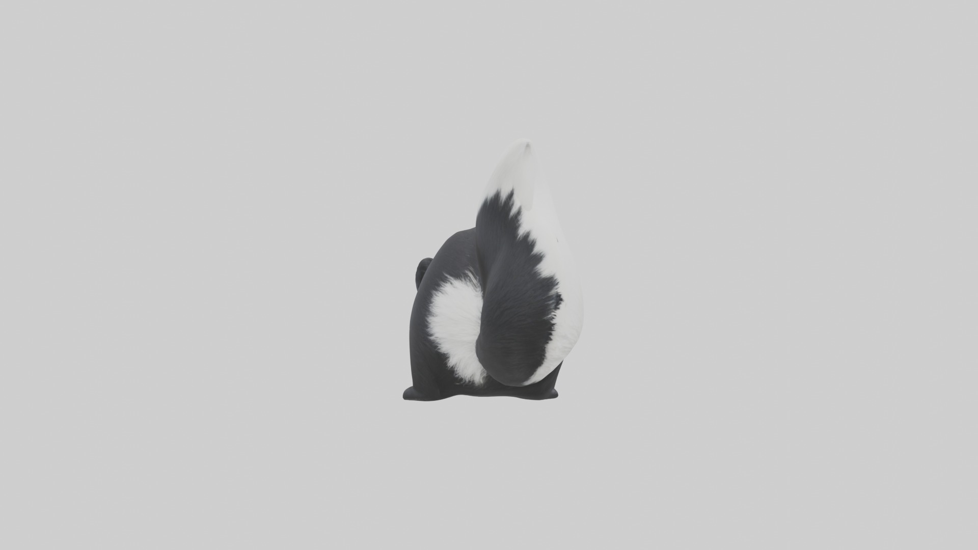 Lying Skunk Model 1 Low-poly 3D model_7