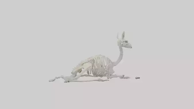 Lying Skeleton Alpaca 1 Low-poly 3D model