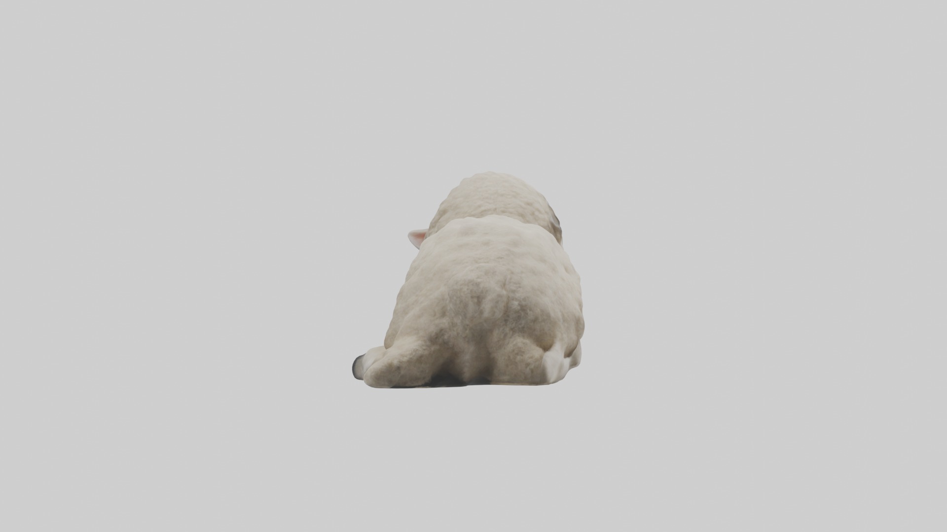 Lying Sheep Model 1 Low-poly 3D model_1