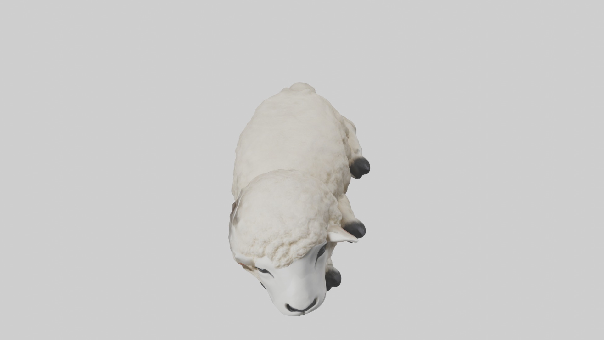 Lying Sheep Model 1 Low-poly 3D model_10