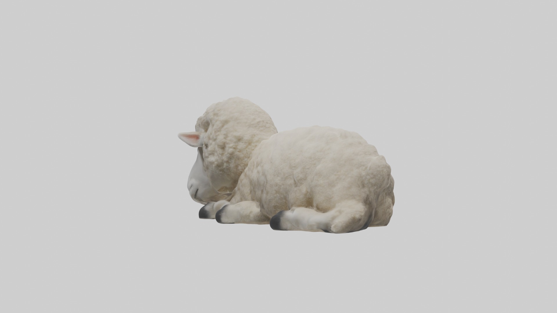 Lying Sheep Model 1 Low-poly 3D model_2