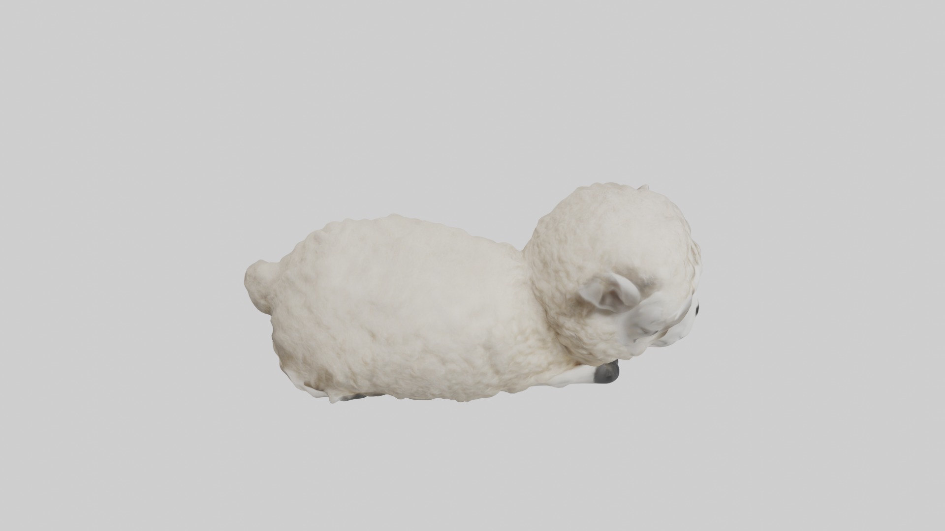 Lying Sheep Model 1 Low-poly 3D model_12