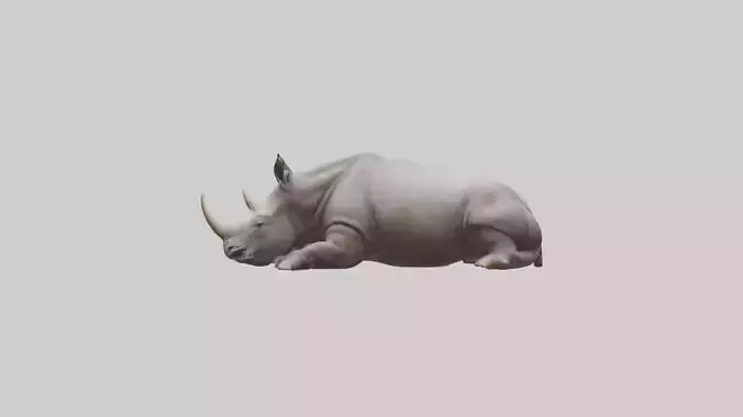Lying Rhino Model 1