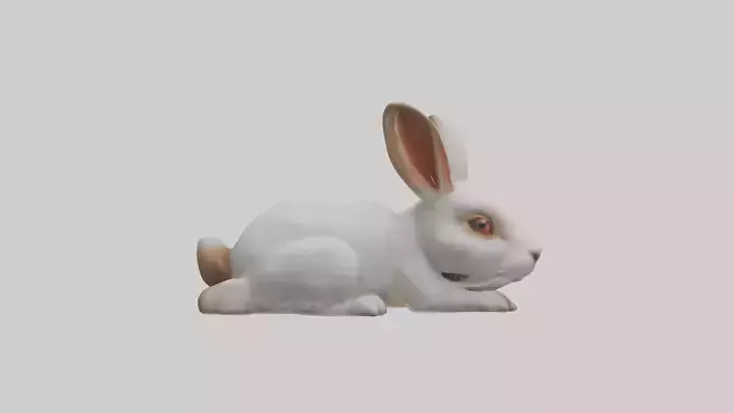 Lying Rabbit Model 1