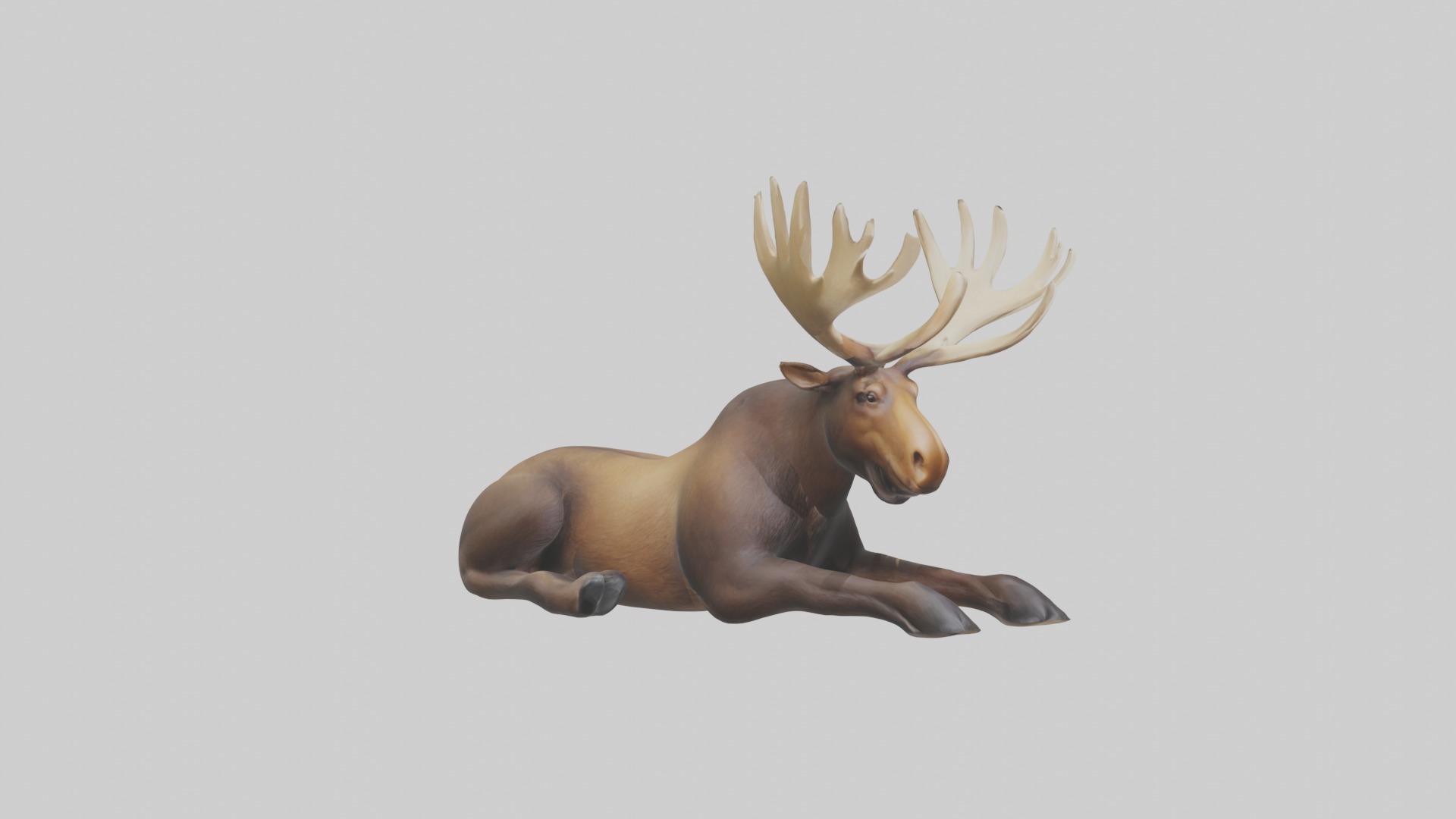 Lying Moose Model 1 Low-poly 3D model_5
