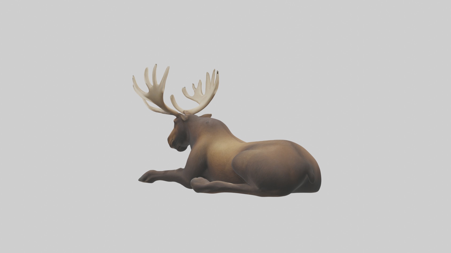 Lying Moose Model 1 Low-poly 3D model_2