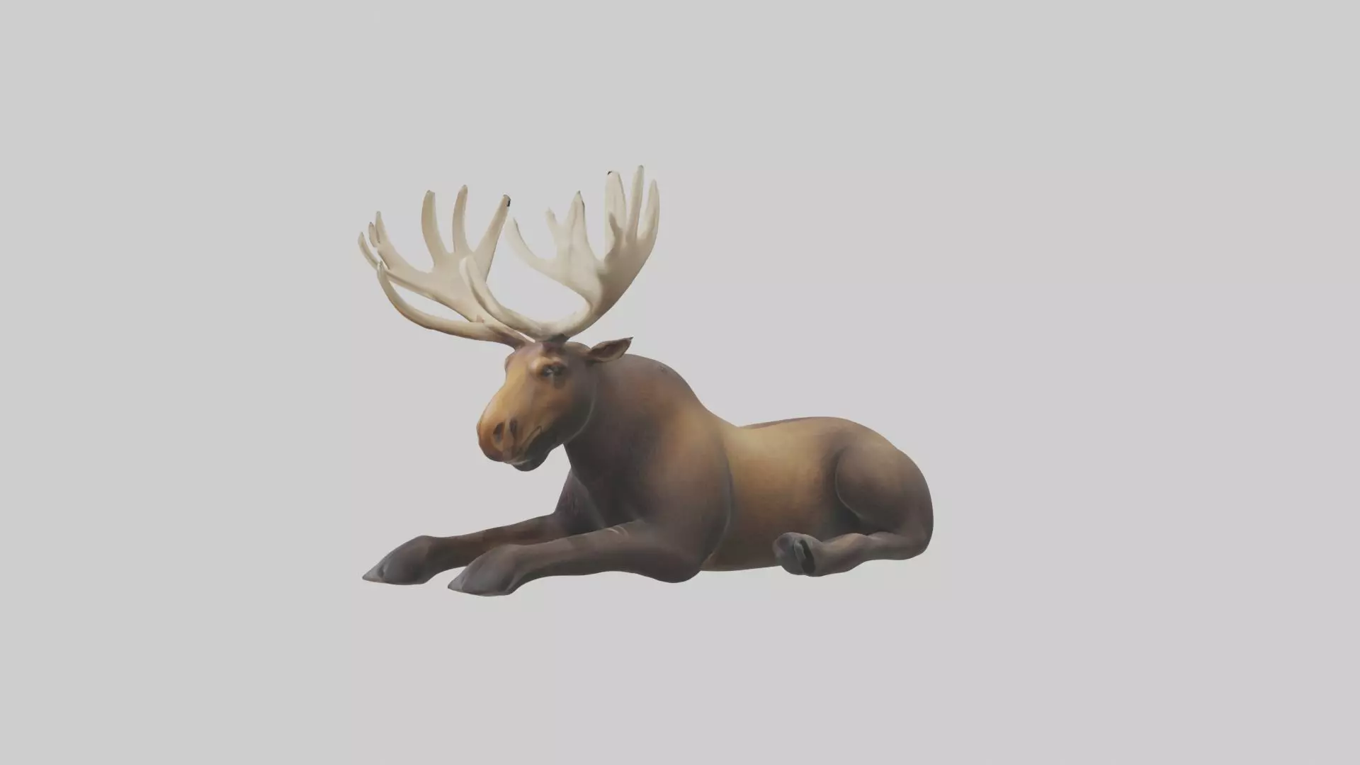 Lying Moose Model 1 Low-poly 3D model_0