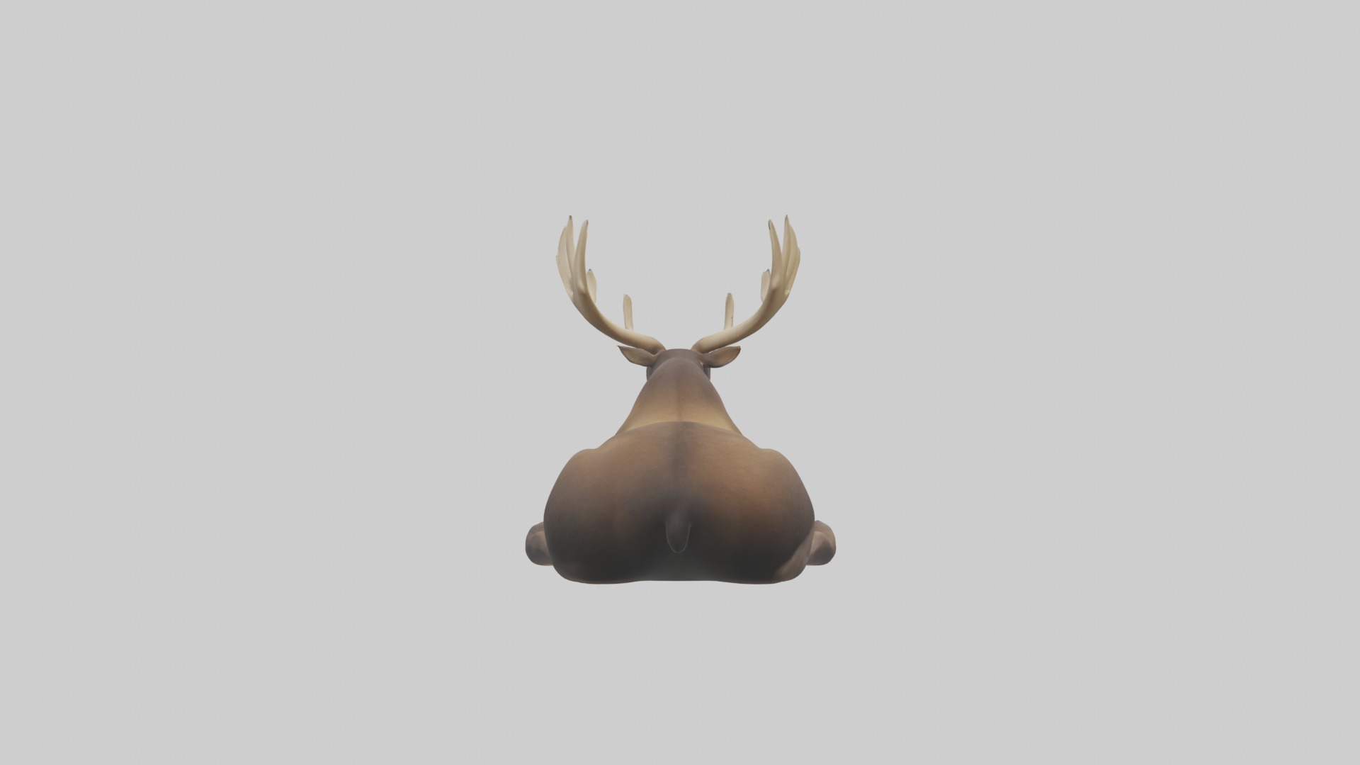 Lying Moose Model 1 Low-poly 3D model_1