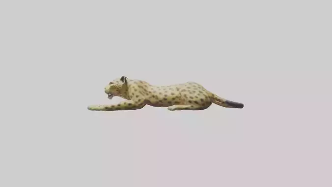 Lying Leopard Model 1