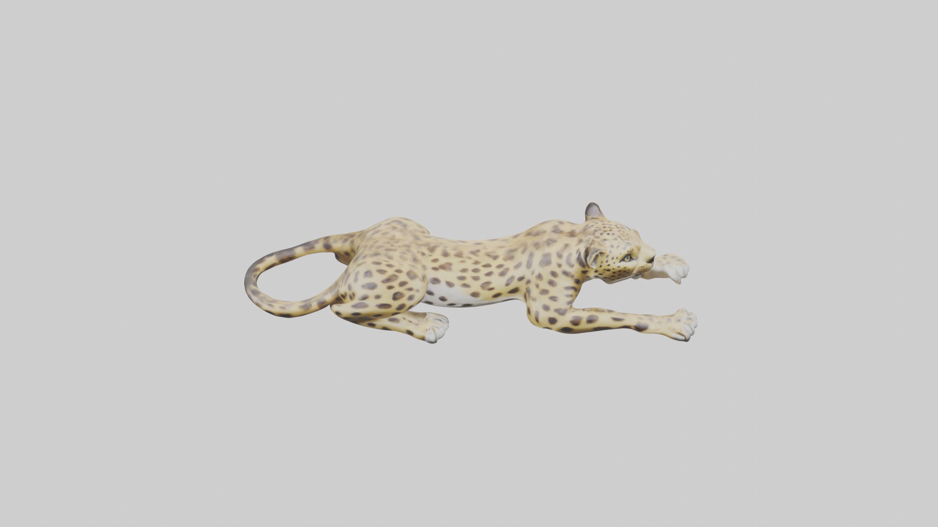 Lying Leopard Model 1 Low-poly 3D model_10