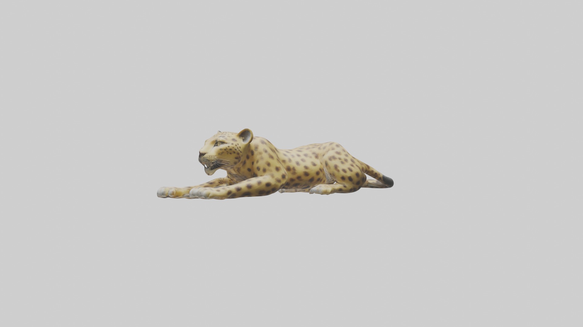 Lying Leopard Model 1 Low-poly 3D model_1