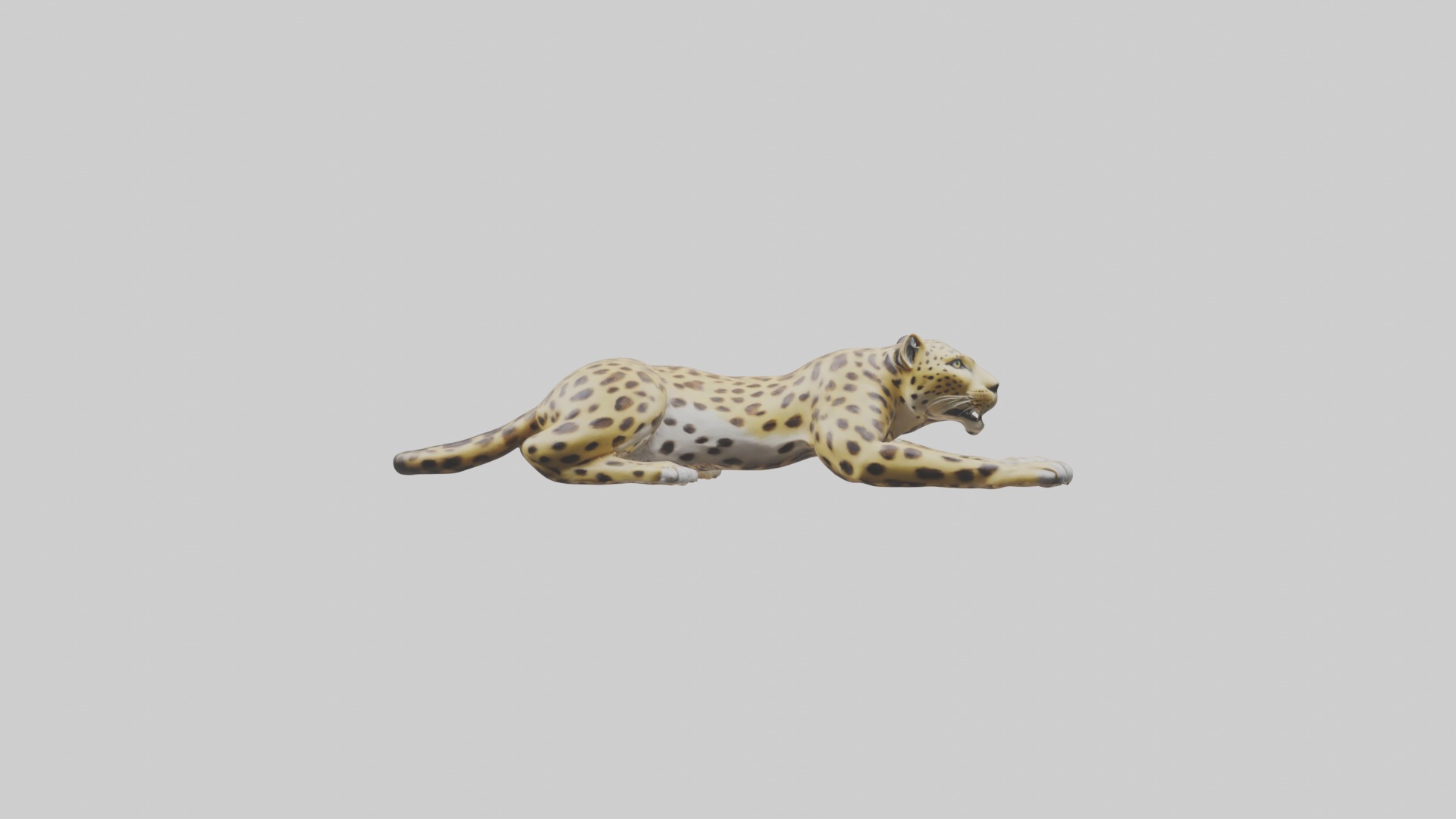 Lying Leopard Model 1 Low-poly 3D model_3
