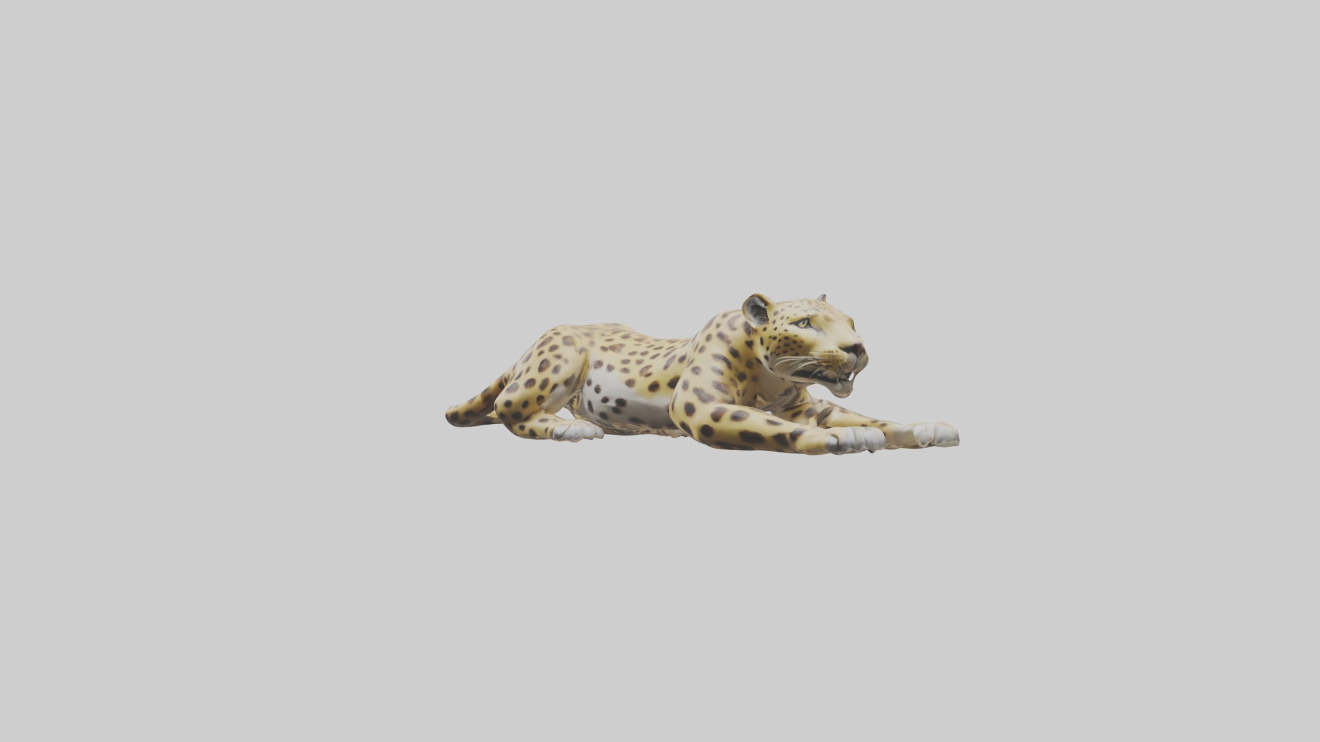 Lying Leopard Model 1 Low-poly 3D model_4