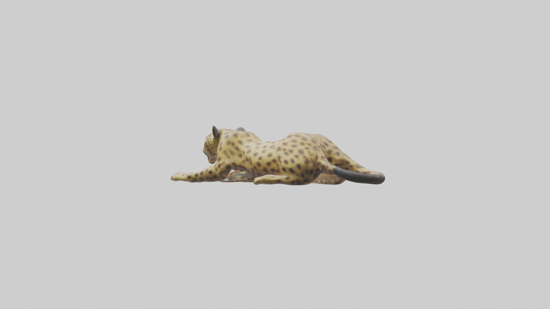Lying Leopard Model 1 Low-poly 3D model_2
