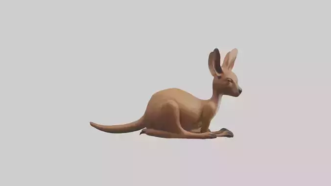Lying Kangaroo Model 1