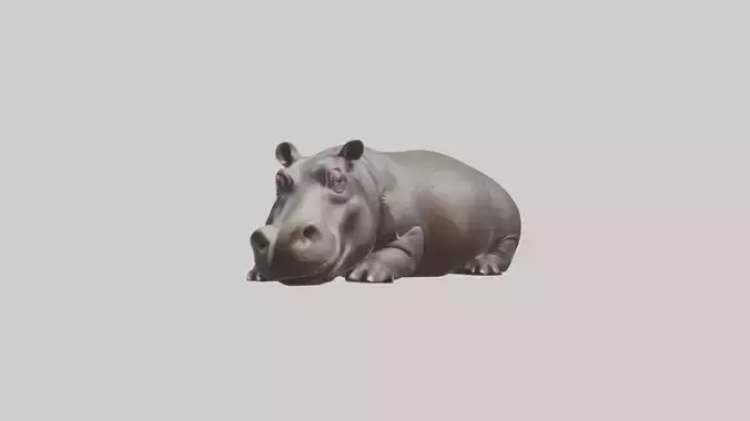 Lying Hippopotamus Mo 1