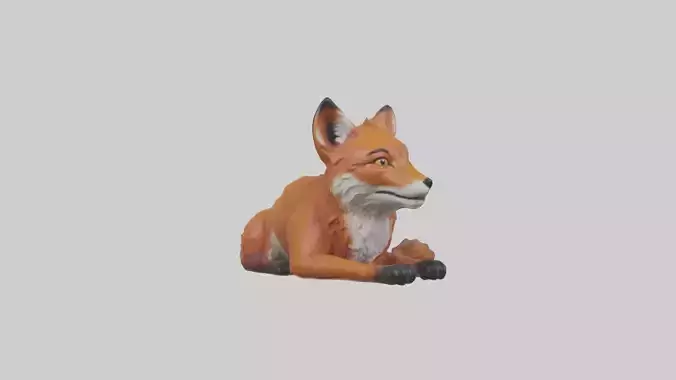 Lying Fox Model 1