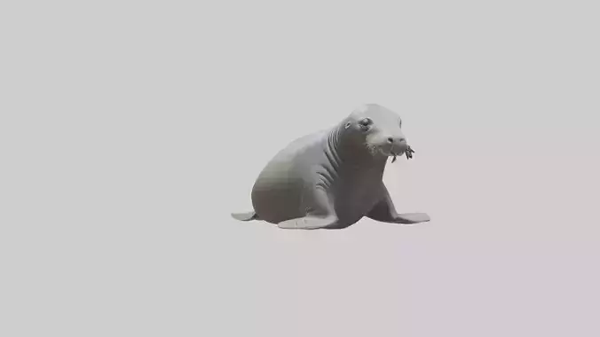Lying Elephant Seal M 1